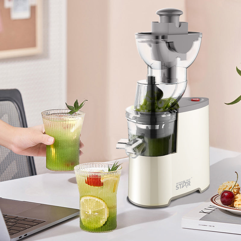 Extracteur de Jus Electrique