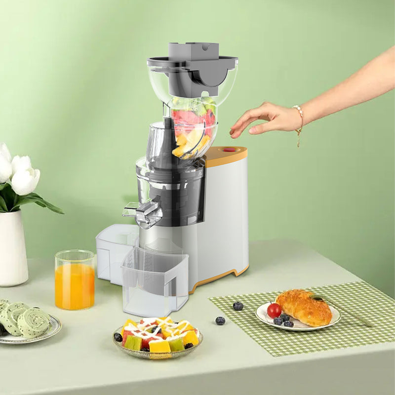 Extracteur de Jus Electrique