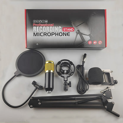 Microphone BM800 avec trépied