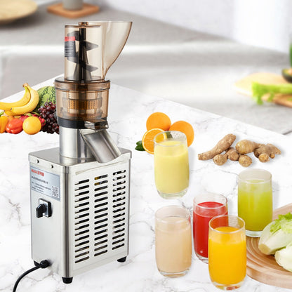 Extracteur de jus de fruits industriel en acier inoxydable 1200W