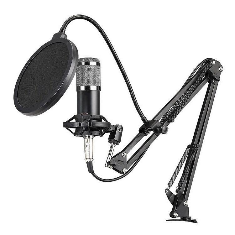 Microphone BM800 avec trépied