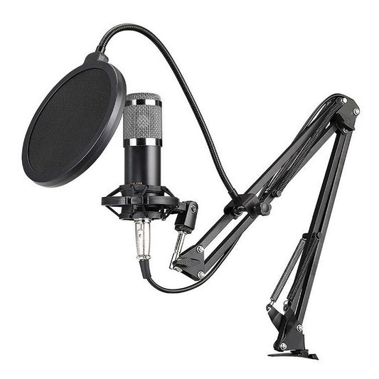 Microphone BM800 avec trépied