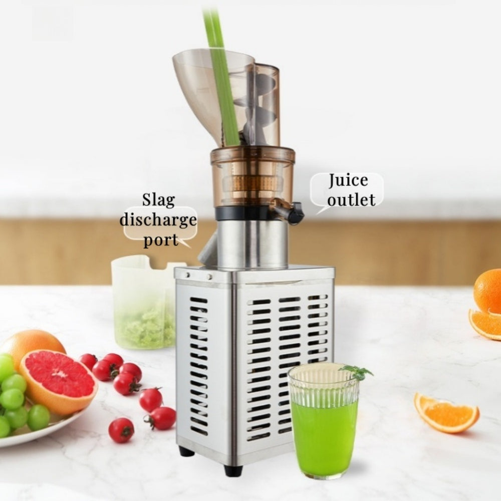 Extracteur de jus de fruits industriel en acier inoxydable 1200W