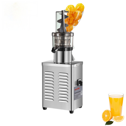 Extracteur de jus de fruits industriel en acier inoxydable 1200W
