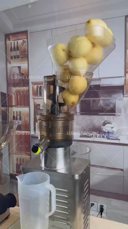 Extracteur de jus de fruits industriel en acier inoxydable 1200W